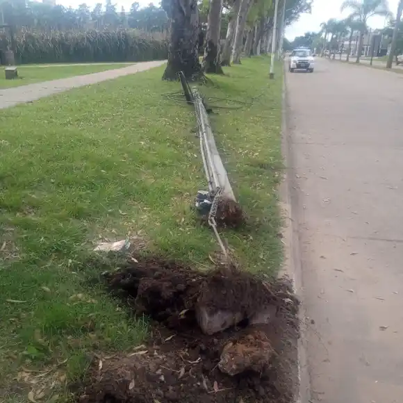 Se cayó un poste con cables de fibra óptica en San Martín y Tofalo