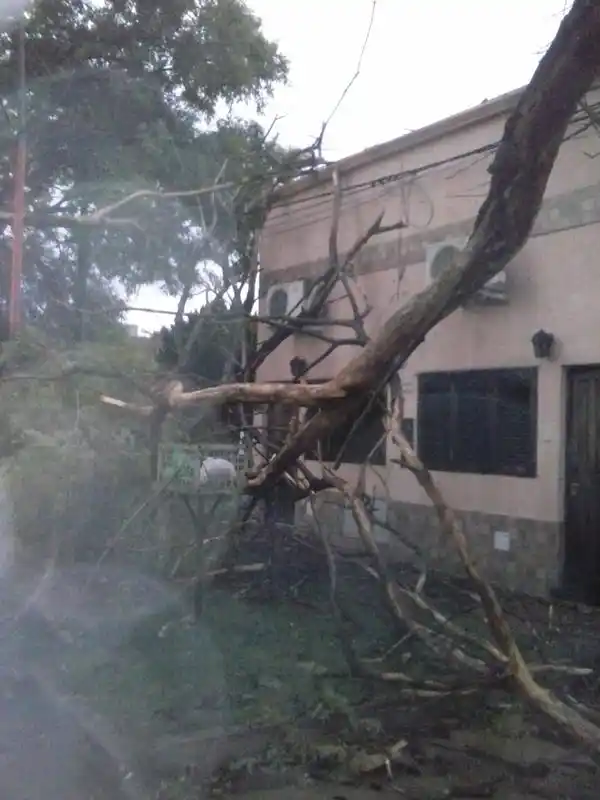 Concepción del Uruguay: granizo, lluvia y hasta la cola de un tornado