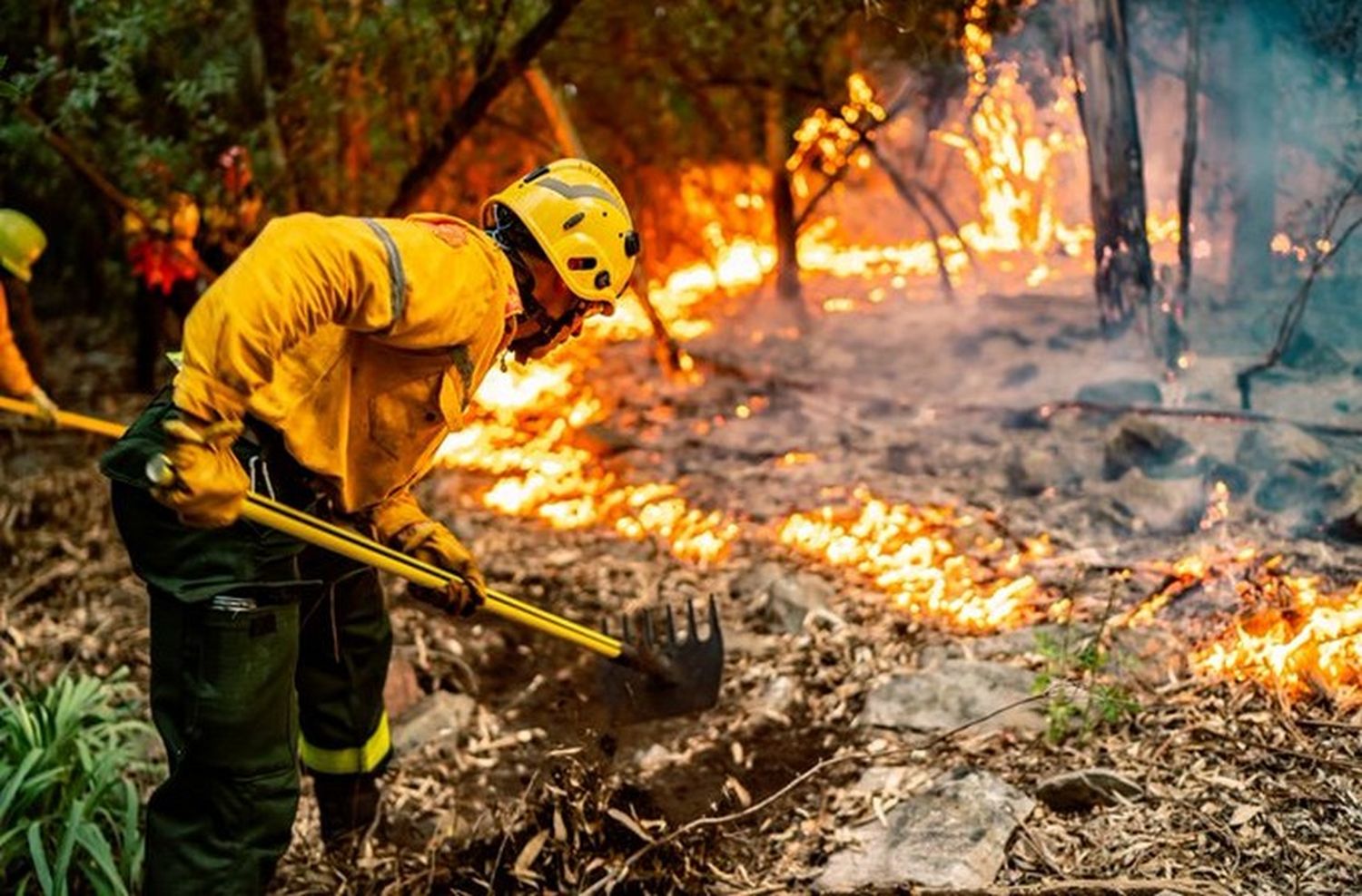 Por las altas temperaturas, aumentan las probabilidades de incendios en Mar del Plata