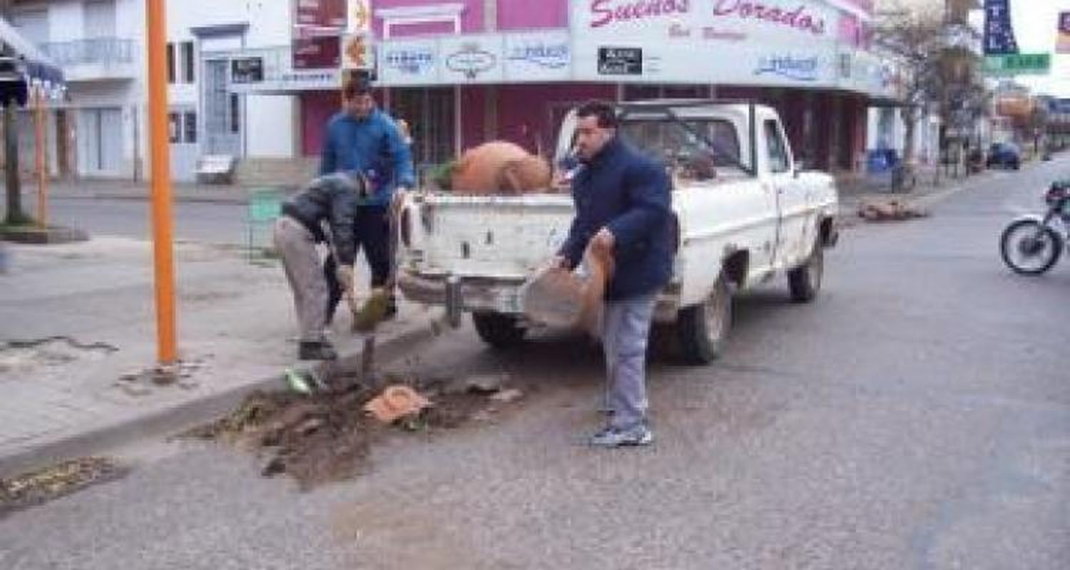 Otra vez contra los maceteros