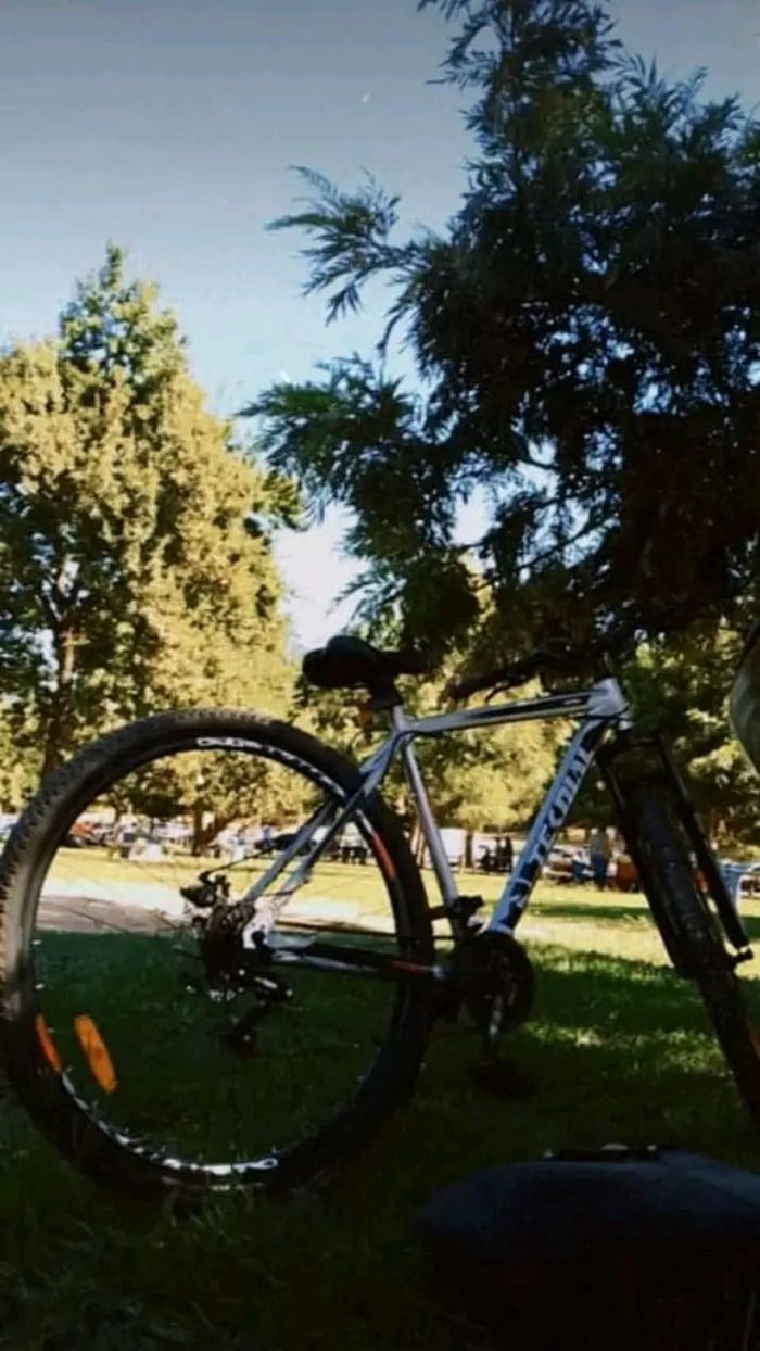 Robo de bici Camila