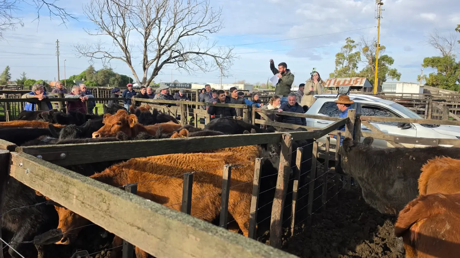 Miércoles de feria la propuesta de los Arzoz