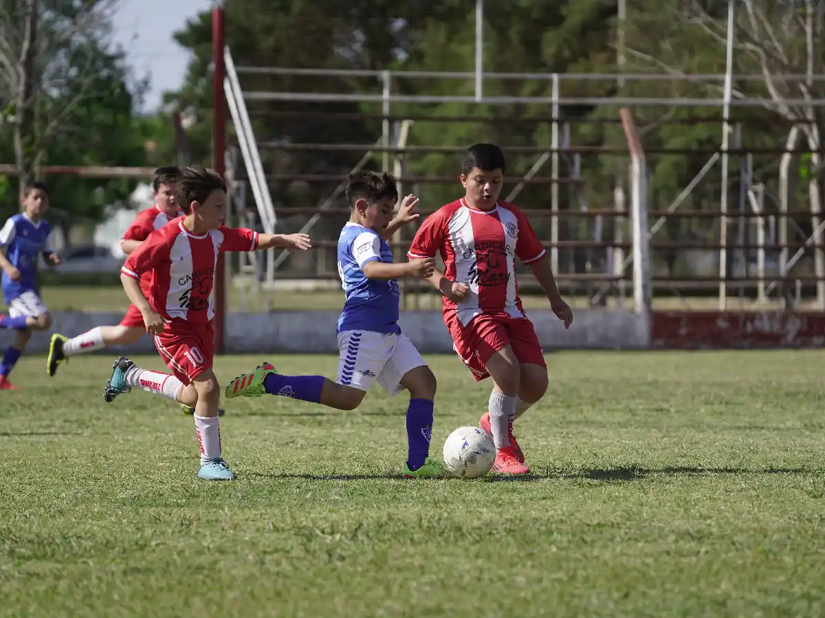 El Apertura tuvo continuidad