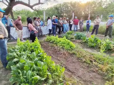 Se realizó un encuentro dedicado al
manejo de hortalizas en Las Lomitas