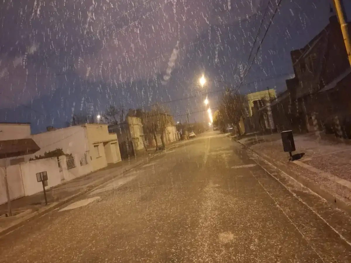 Nieve