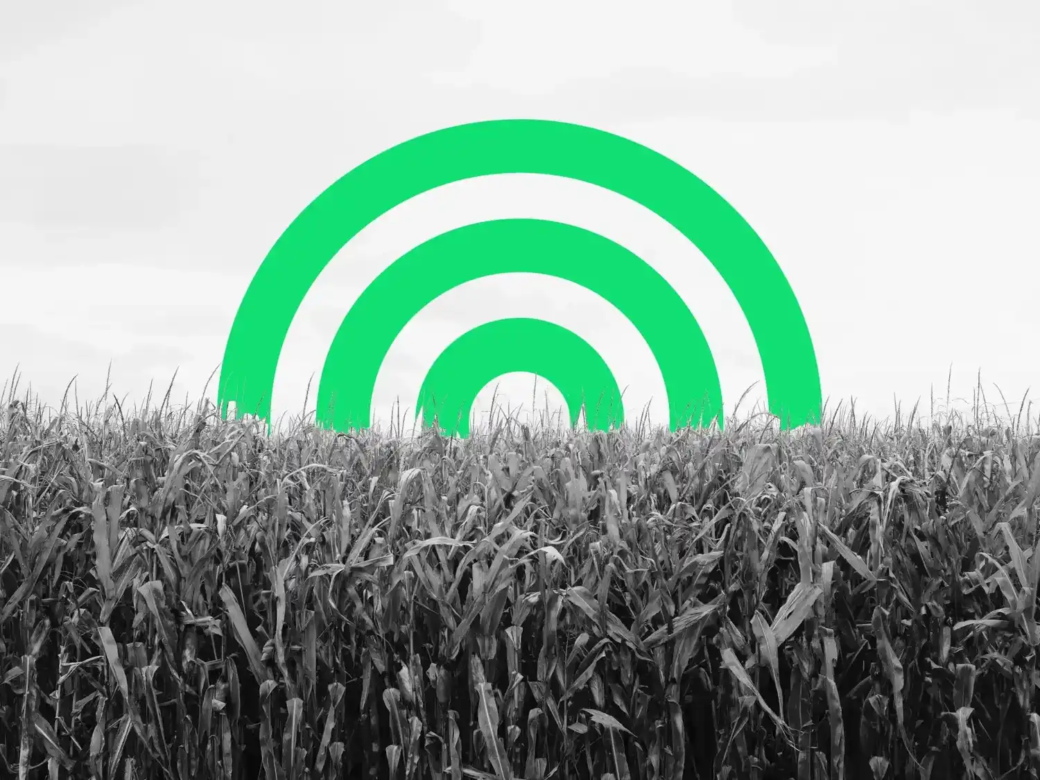 Integración de tecnología y conectividad en la siembra y el desarrollo del sector agropecuario en la región de Lobería.