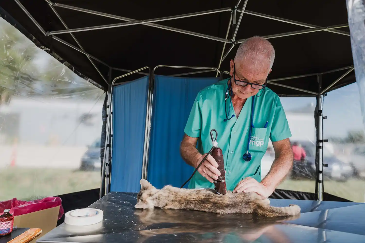 La Dirección de Zoonosis y Bienestar Animal anunció las nuevas ubicaciones de los quirófanos móviles para la castración de perros y gatos.