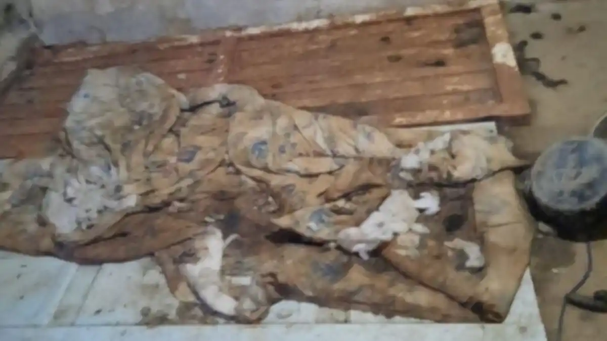 IMUSA fue a rescatar perros de una vivienda y encontraron a una anciana abandonada