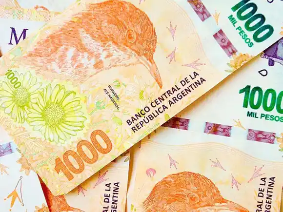 ¿Cuánto ganás por mes dependiendo el dinero que pongas?