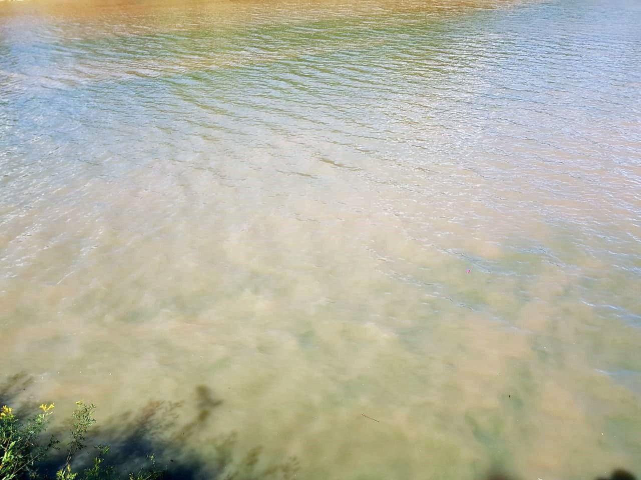 Alertan por la presencia de cianobacterias en el Río Gualeguaychú