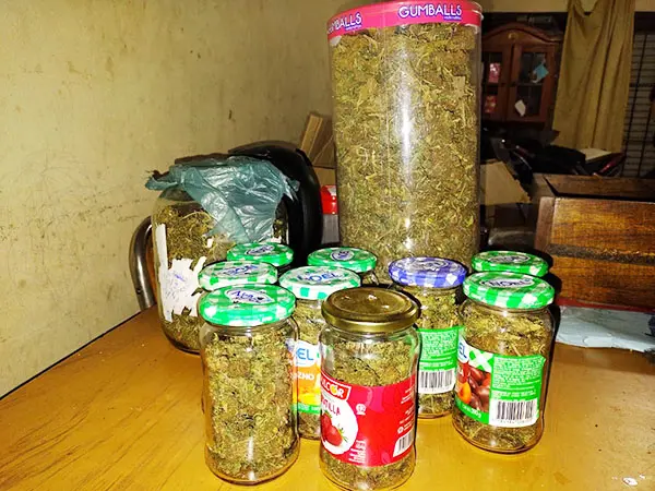 Investigan un robo  y un joven terminó detenido con drogas