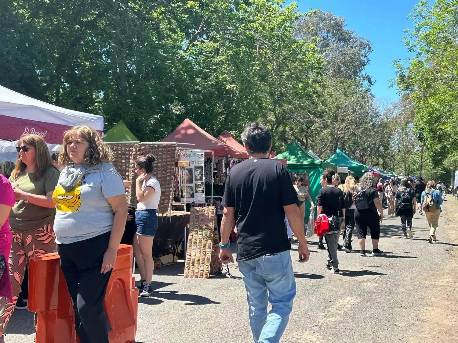 Los Manseros Santiagueños cierran la Fiesta de las Colectividades este domingo