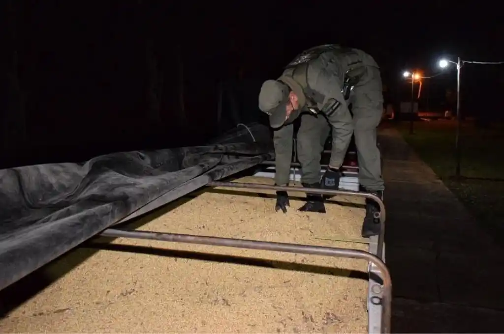 Incautan 57 toneladas de soja que eran transportadas de manera ilegal
