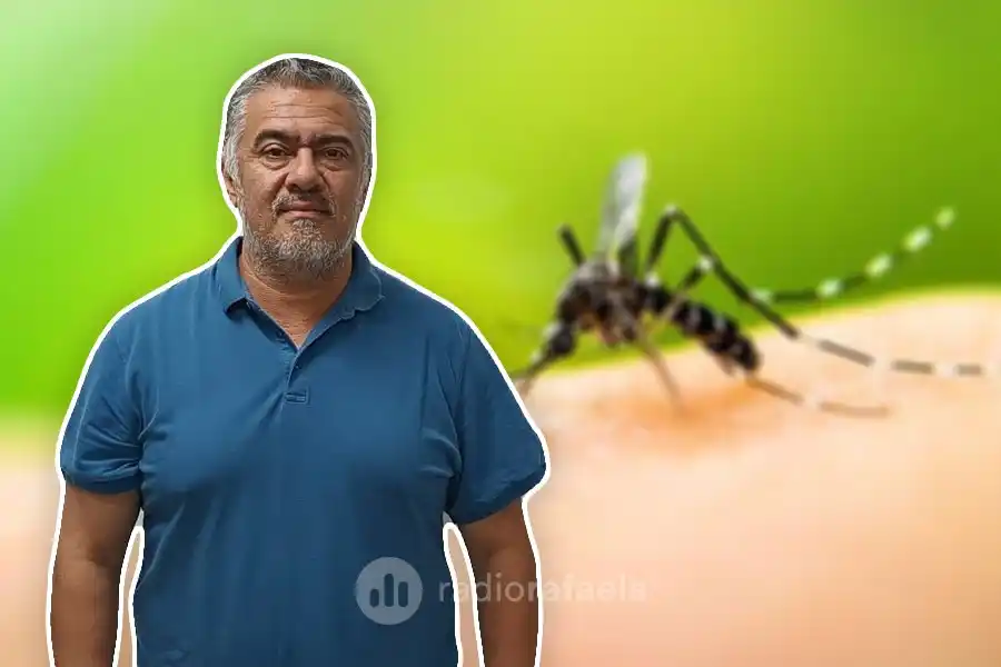 Son 13 los casos de dengue confirmados en Rafaela: “La mayoría tienen nexo epidemiológico con Chaco”