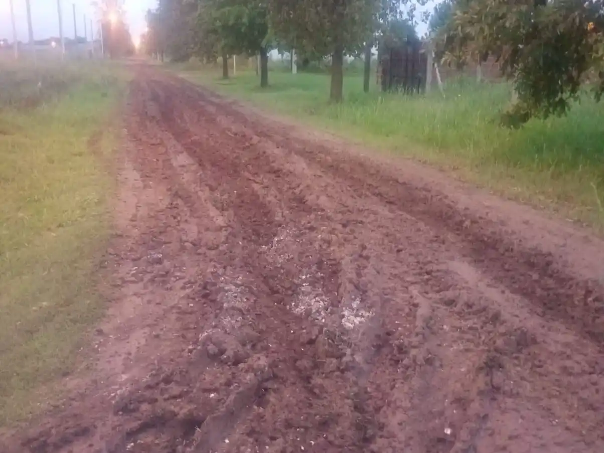 Reclamo de vecinos de Villa Ester y Espacios Verdes