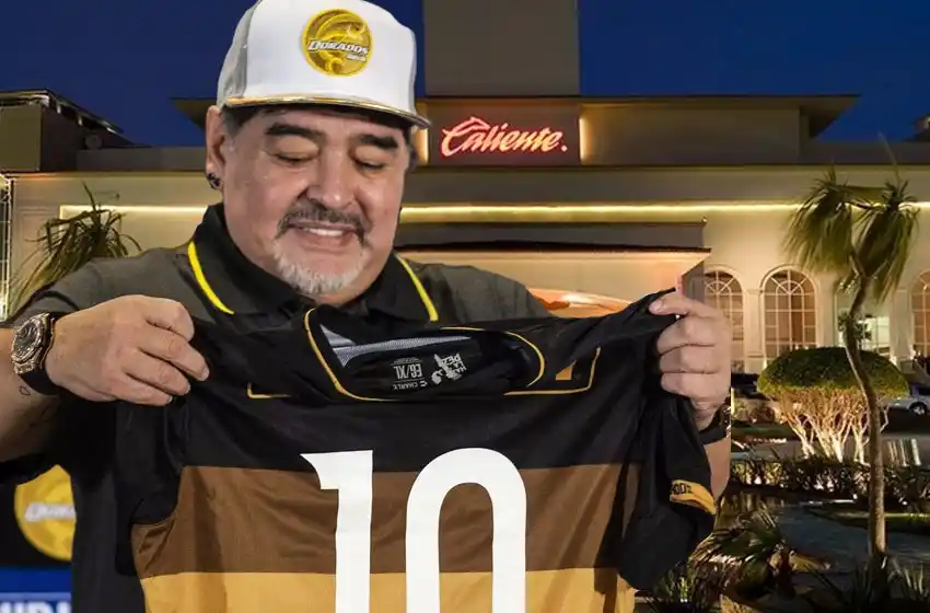 Armas, casinos y animales exóticos: la oscura historia de los propietarios del Dorados de Sinaloa