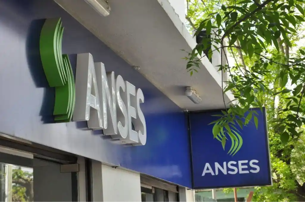 Refuerzo Alimentario- ANSES: comienza el pago de la primera cuota de $ 22.500