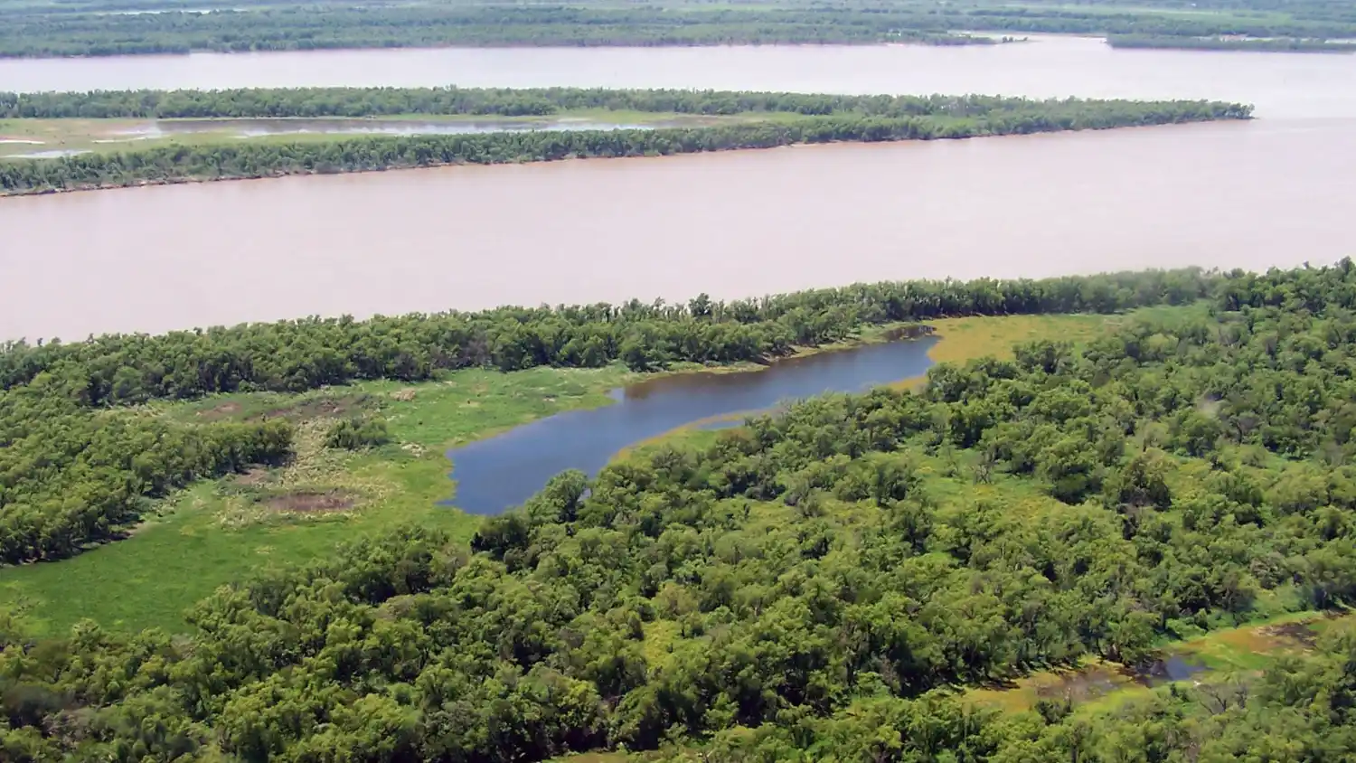 La provincia trabaja en el manejo sustentable del sitio Ramsar Delta del Paraná