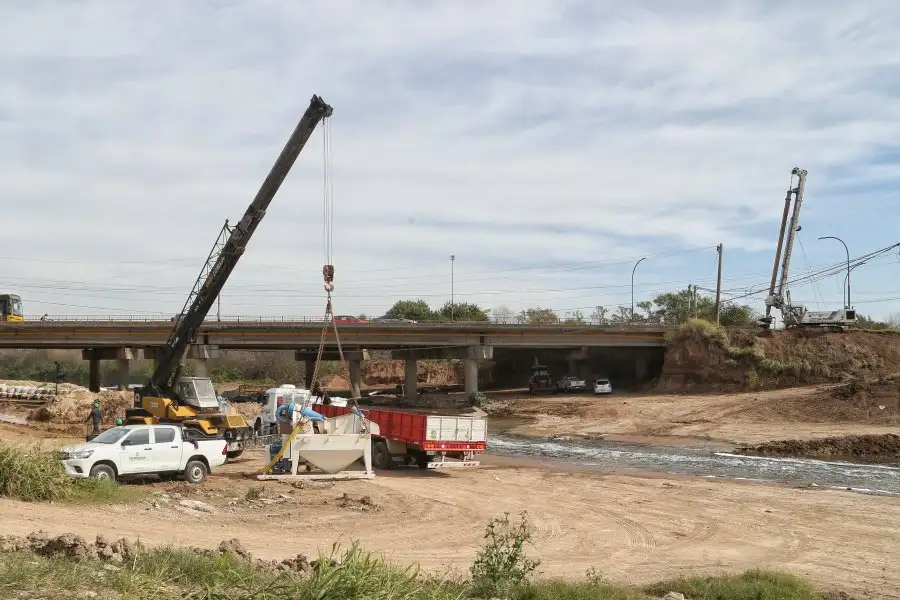 Las acciones se desarrollan en el marco del proyecto de recuperación del Parque Regional Sur.