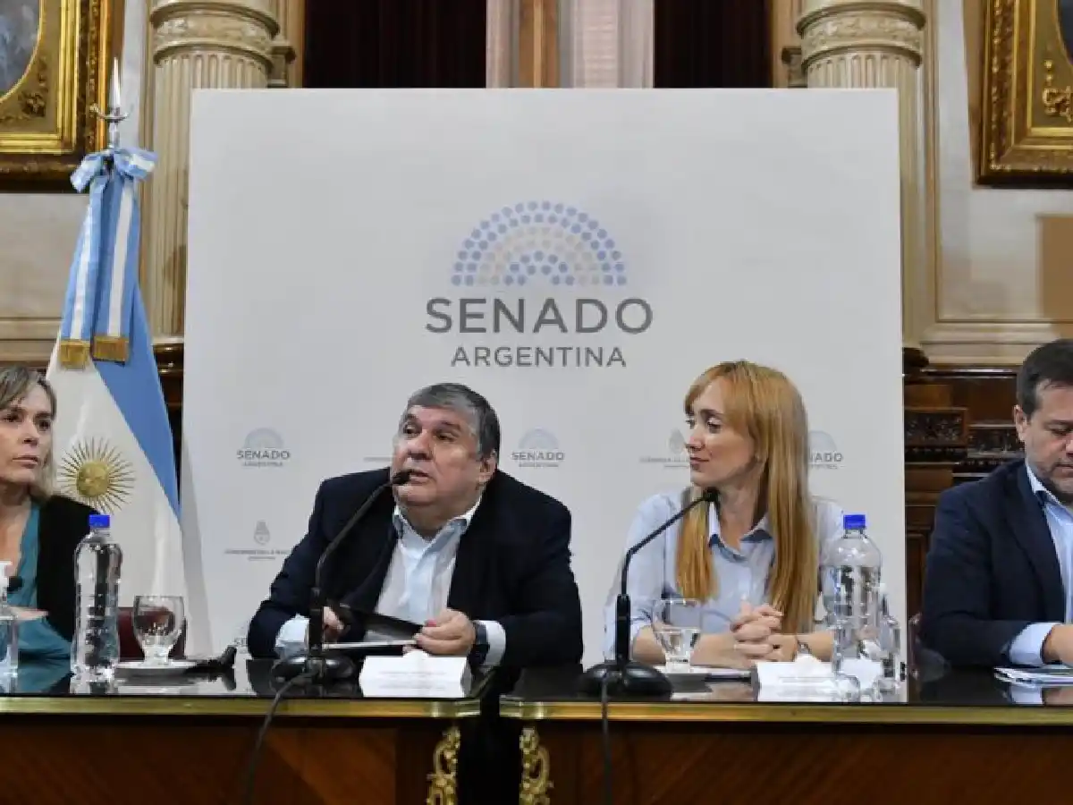 Senadores K presentaron una nueva moratoria previsional