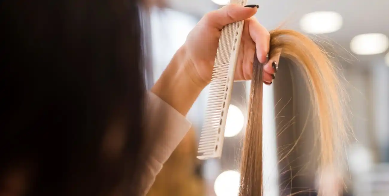 Cada etapa lunar influye en la energía y el ritmo natural del cuerpo.