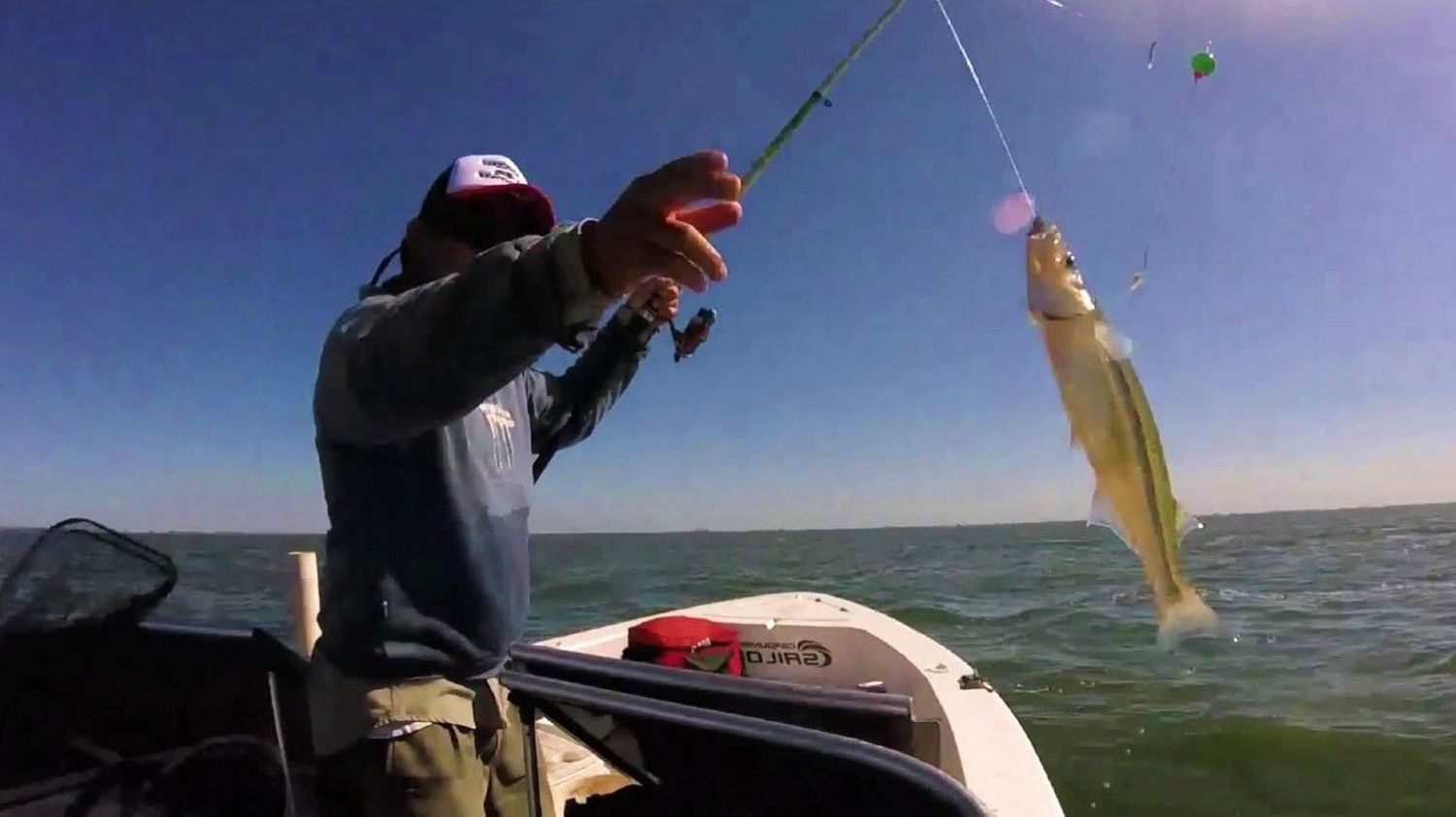 En junio se podría habilitar la pesca deportiva pero con algunos cambios.