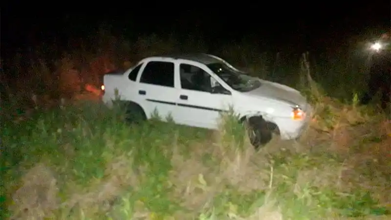 Dos autos chocaron una vaca que caminaba por la ruta