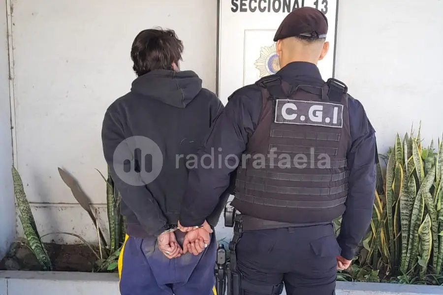 Robó una parte de un automóvil, pero fue detenido