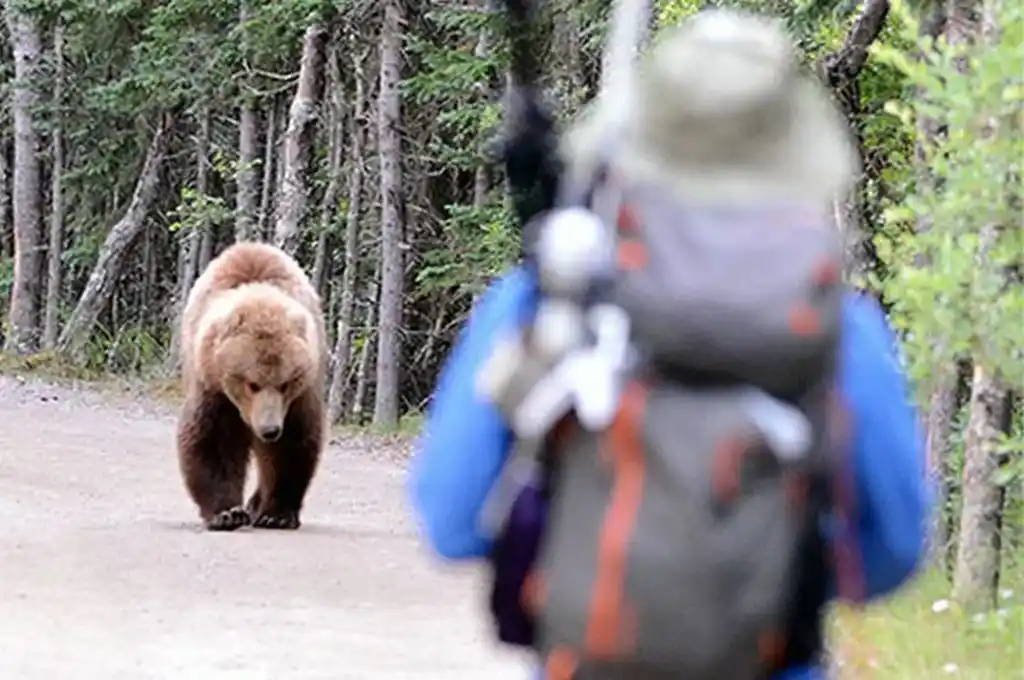 Parque Nacional Banff de Alberta
