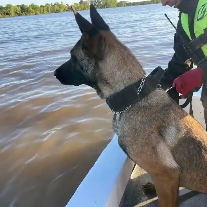 Efectivos de K9 Gualeguay colaboran en la búsqueda de un joven desaparecido en Zárate