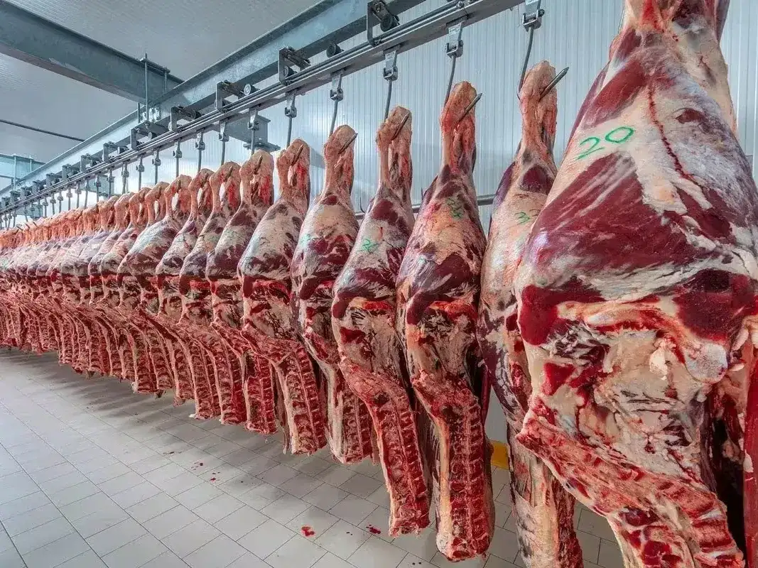 La carne vacuna sigue perdiendo terreno en la mesa de los argentinos