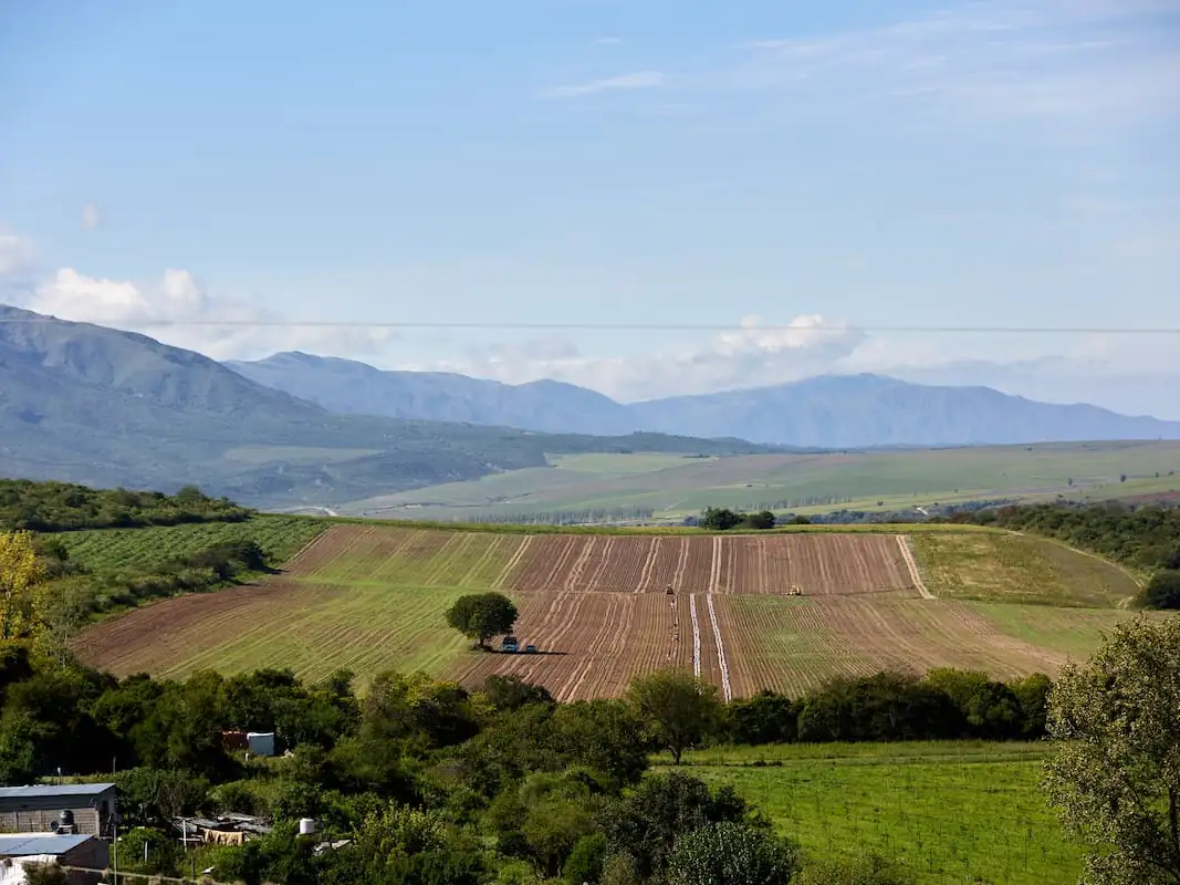 Diputados buscarán frenar la venta de tierras rurales a extranjeros mediante una cautelar