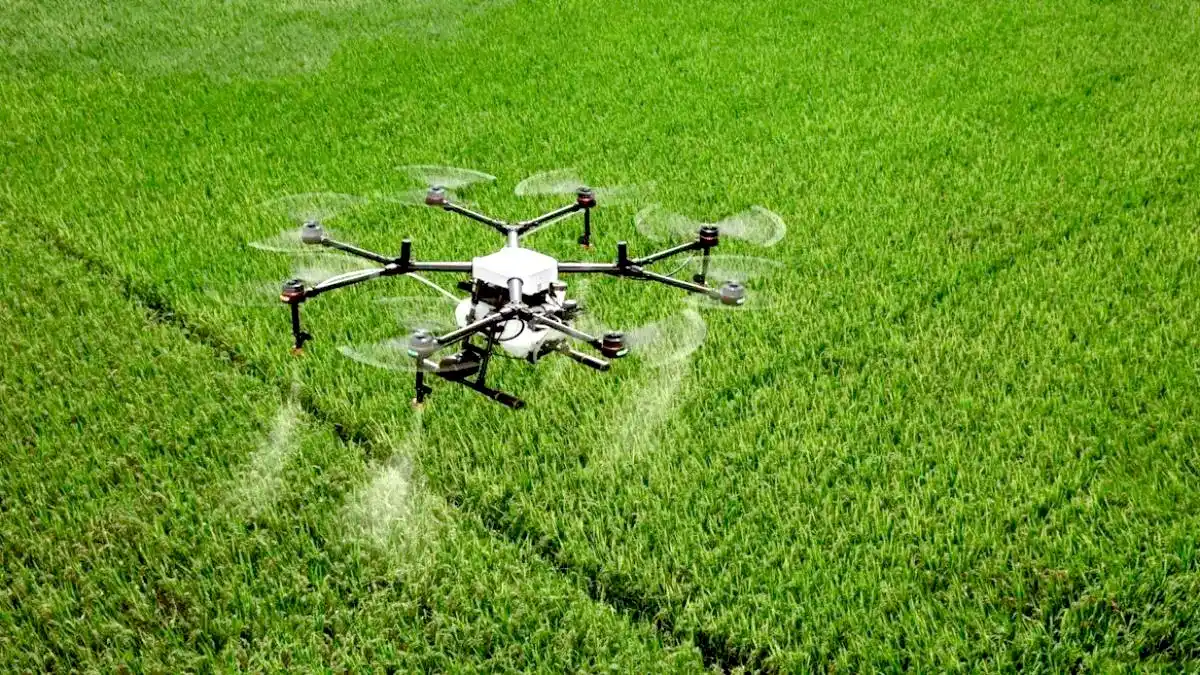 Especialistas de Casafe pusieron bajo la lupa las aplicaciones con drones