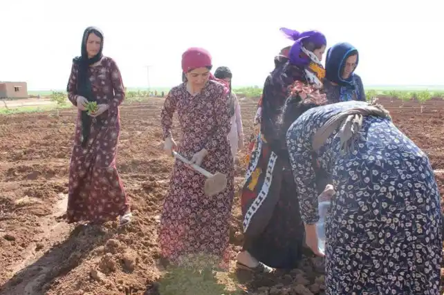 En Siria surge un pueblo hecho por y para mujeres