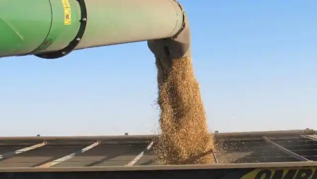 El Estado se queda con más del 60 por ciento de los ingresos de un productor agrícola