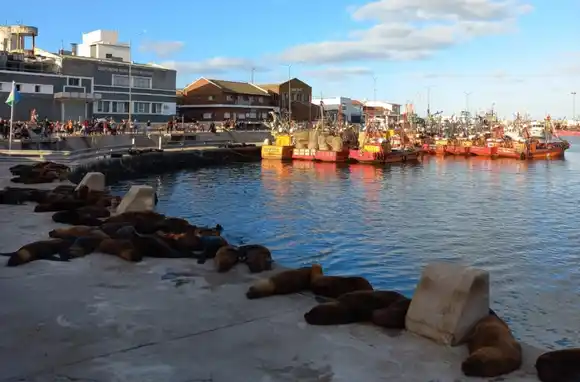 Puerto en crisis: “El principal problema es el tipo de cambio”