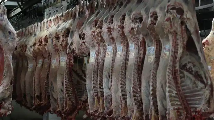 Después de 12 años, la Unión Europea volverá a importar carne argentina