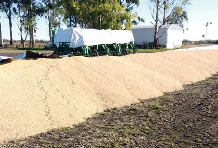 FARER condenó un nuevo ataque contra el campo  y el silencio oficial: "Es un  mensaje tendiente a consagrar la impunidad"