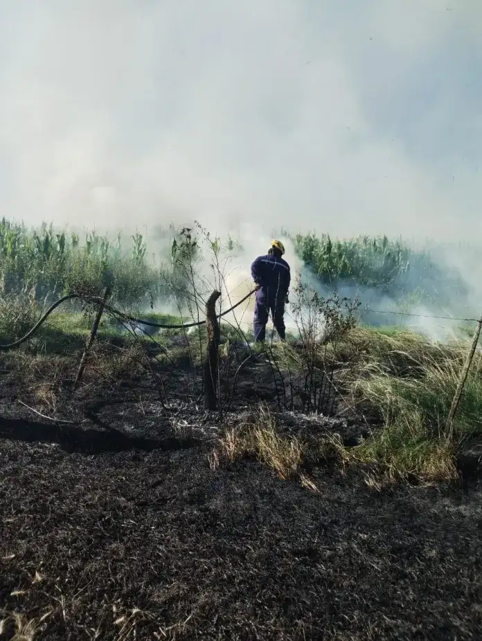 Se incendió un campo y tres dotaciones de bomberos sofocaron las llamas