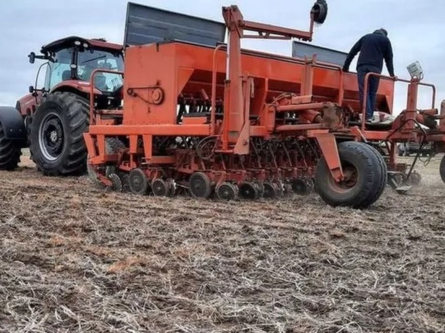 Se puso en marcha la siembra de trigo de la nueva campaña agrícola