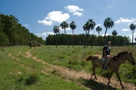 Semana Santa: Entre Ríos tiene un 90% de reserva