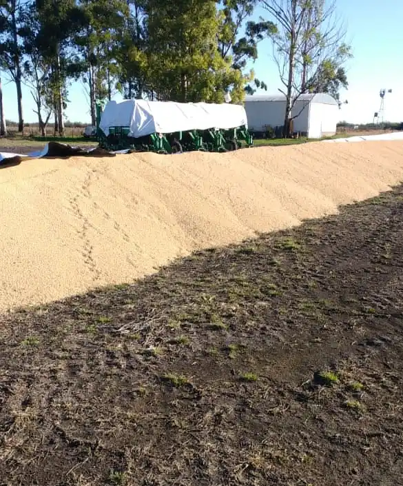 Farer condenó un nuevo ataque contra el campo y el silencio oficial