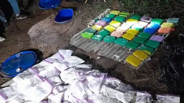 Paraná: descubren una cocina de cocaína y 40 kilos de droga en una zona boscosa