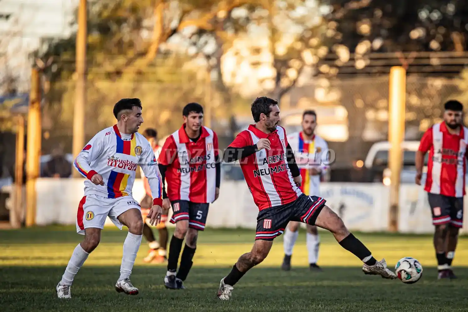 quilmes-cole - 8