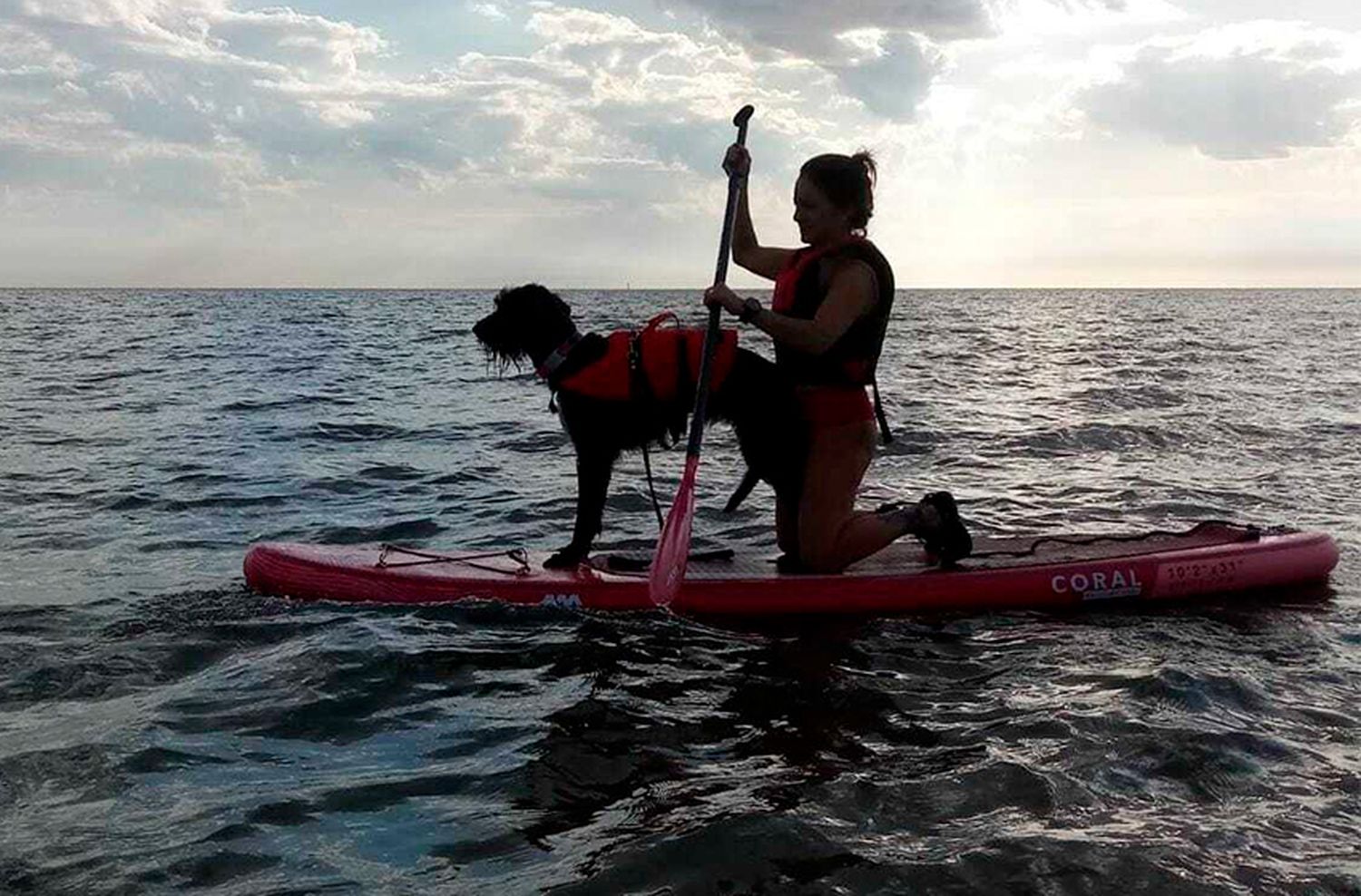 Llega el primer encuentro nacional de SUP para perros