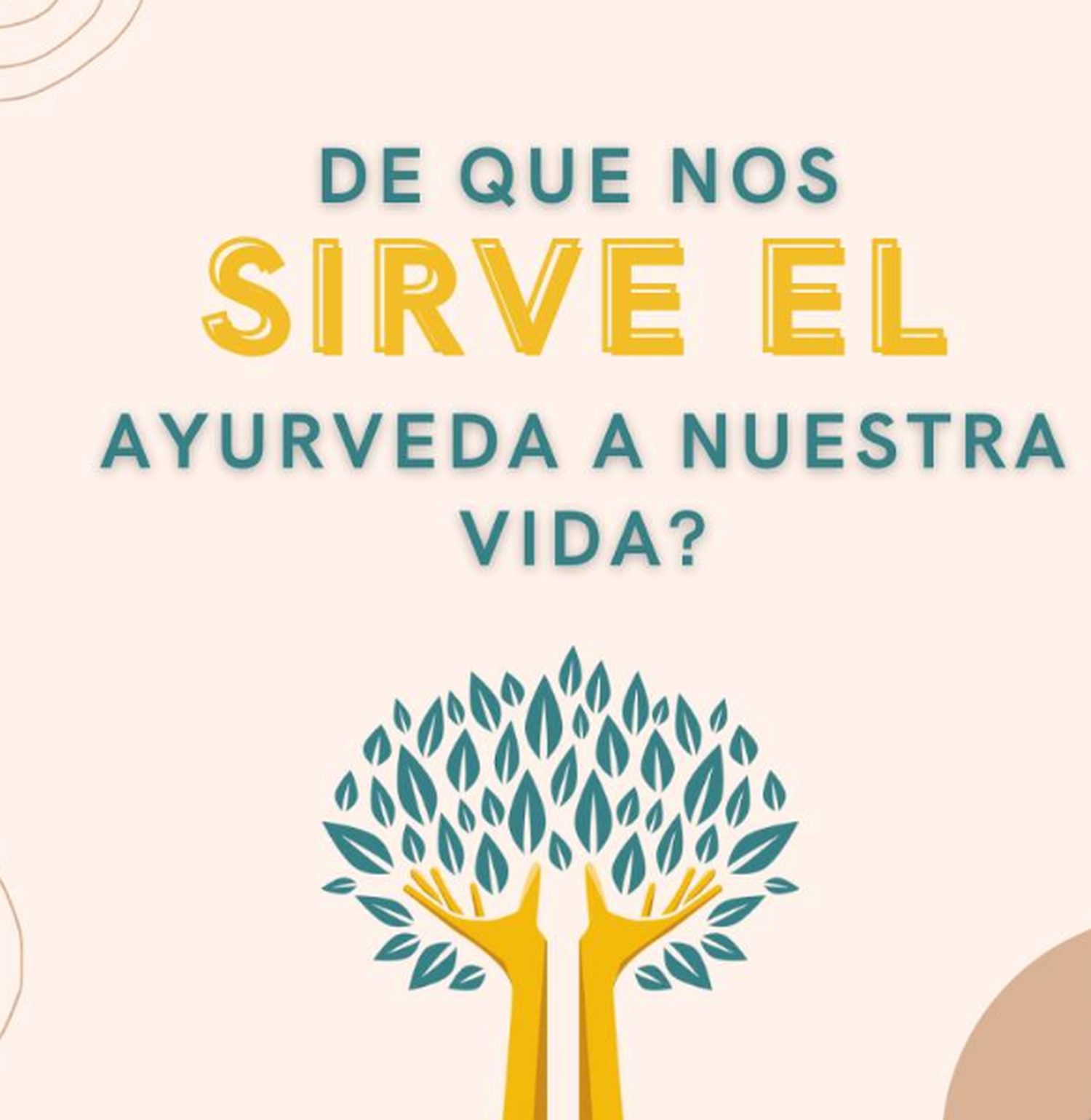 eco salud - 1