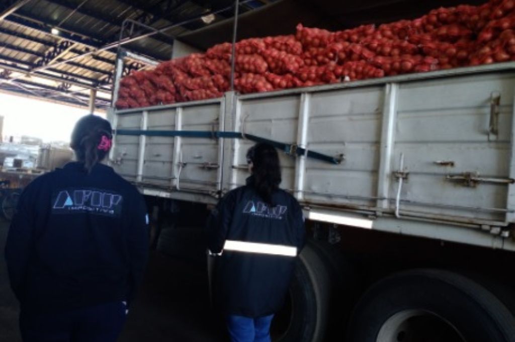 Incautaron 151 toneladas de soja y cebolla valuadas en $11 millones