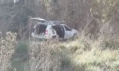 Un hombre mató a su familia y luego se suicido tirándose debajo de un camión