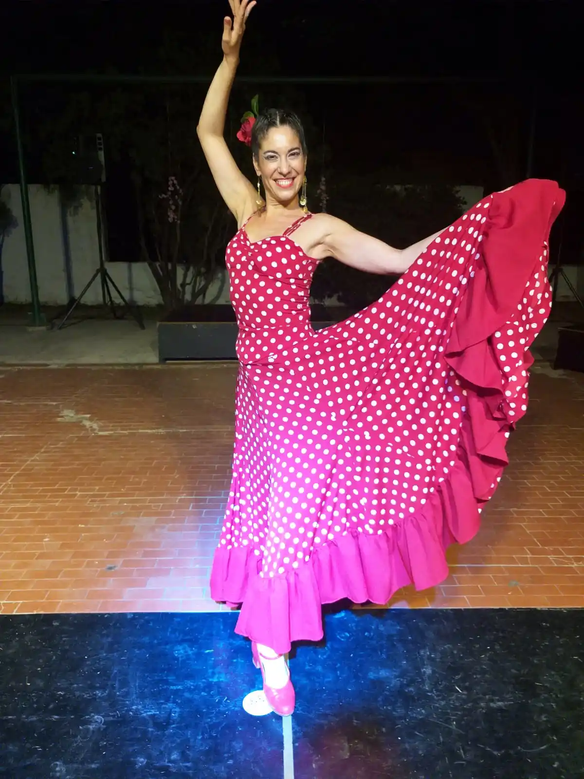 Se presentará el espectáculo de danzas “Raíces con alas”