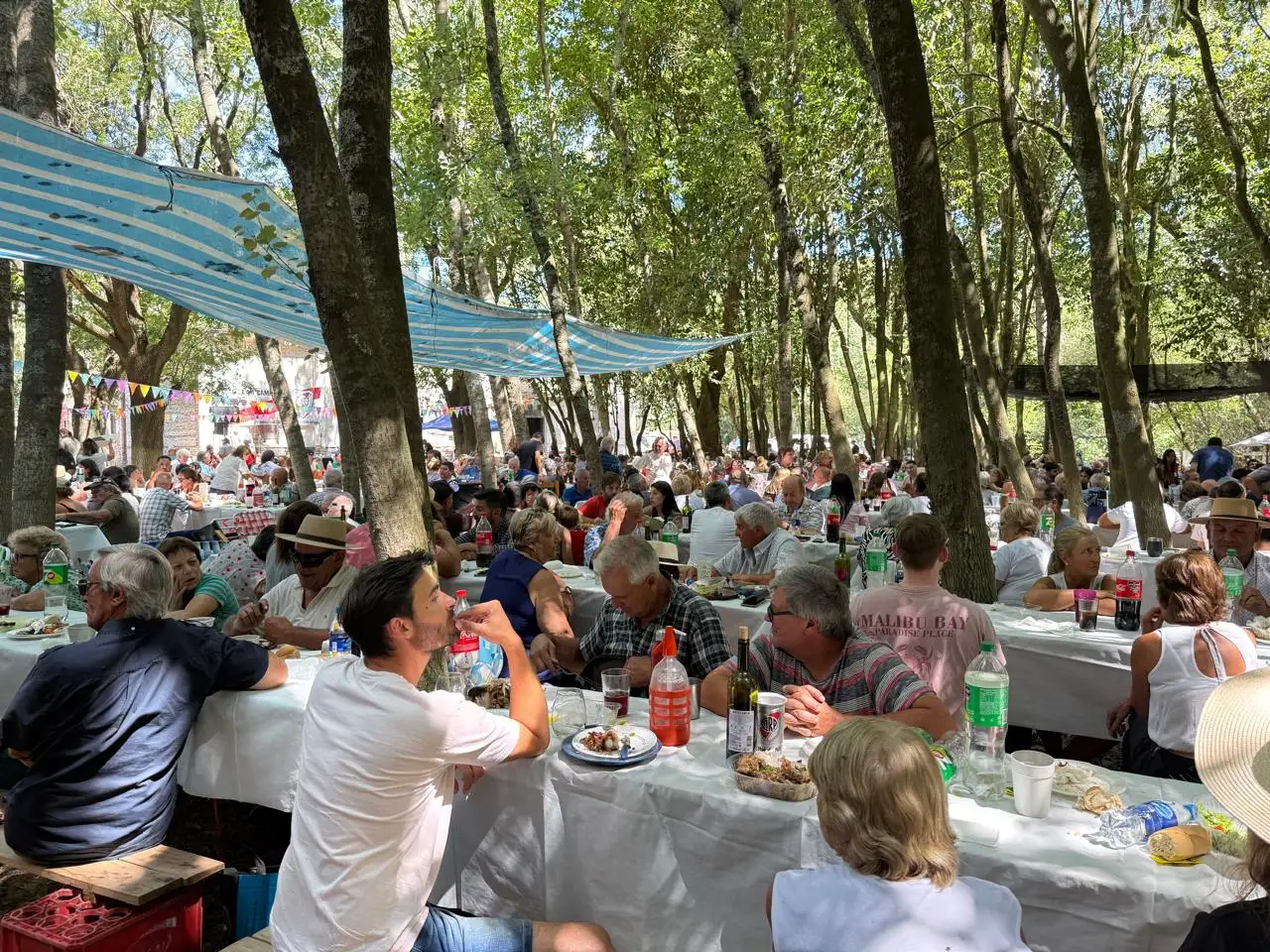 de la canal picnic 08-02-26 - 3